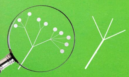 The Trivialization of Macroeconomics