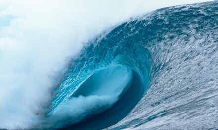 Concepts in Motion: Dominant Design