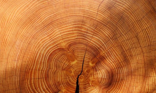 Resilient Structures – Brush Off, Get Going