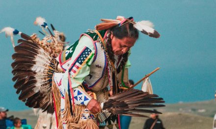 Return of the Native – The Cry for DFIs