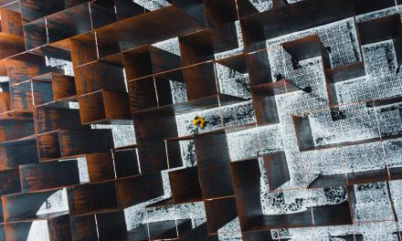 The Abdication of Responsibility