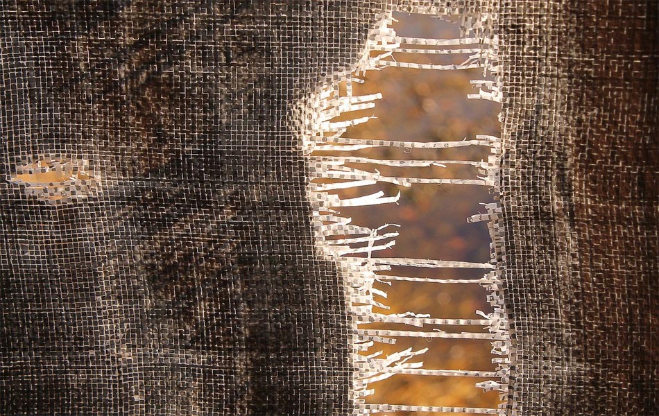 Development Economics – Insular and Irrelevant?