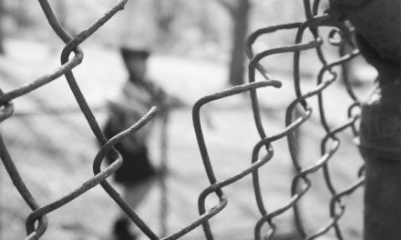 Enterprise Search & Analytics